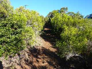 Sentier de la Grande Jument - partie basse