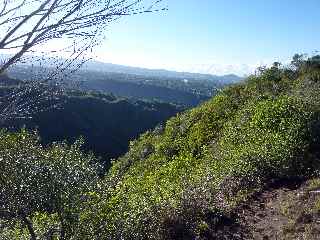 Sentier de la Grande Jument - Vue sur le Tampon