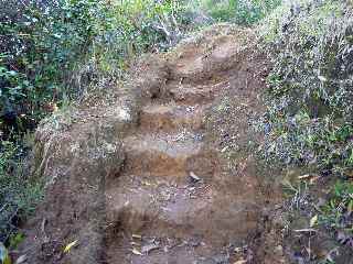 Sentier de la Grande Jument - escalier taillé dans la terre