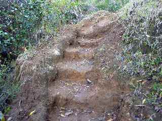 Sentier de la Grande Jument - escalier taill dans la terre