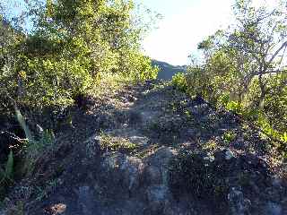 Sentier de la Grande Jument - Sur la crte