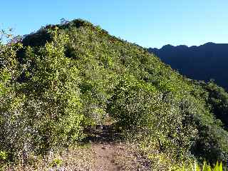 Sentier de la Grande Jument - Piton