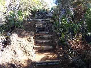 Sentier de la Grande Jument - Escalier en bois de goyavier