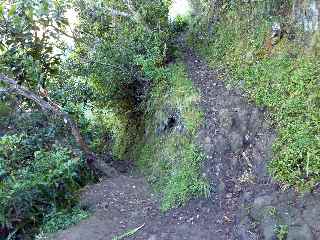 Sentier de la Grande Jument - Intersection avec le sentier du Zbre