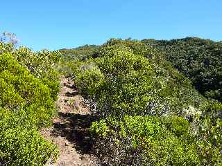 Sentier de la Grande Jument - partie haute