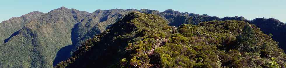 Sentier de la Grande Jument - Vers le Dimitile