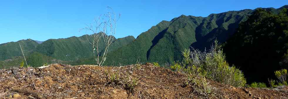 Sentier de la Grande Jument -