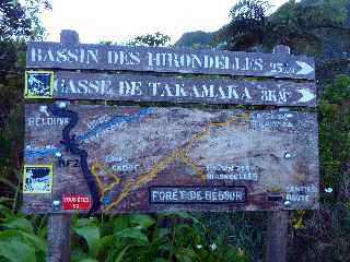 Vers le Bassin des Hirondelles et le Cass de Takamaka