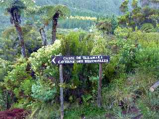 Panneau Cass de Takamaka et maison forestire de Bbour