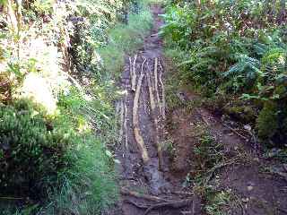 Fort de Bbour - Sentier