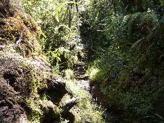 Forêt de Bébour - Plateau de Duvernay - Echelles
