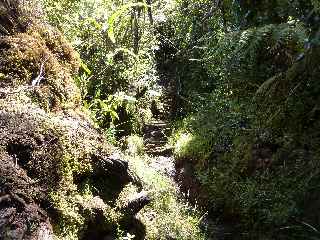 Fort de Bbour - Plateau de Duvernay - Echelles