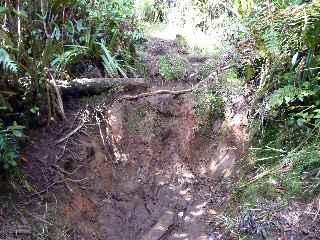 Fort de Bbour - Plateau Duvernay - Sentier boueux