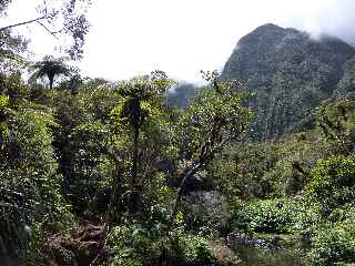 Fort de Bbour - Plateau Duvernay -