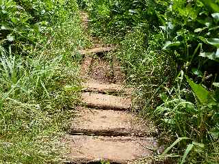 Fort de Bbour - Plateau Duvernay - Sentier