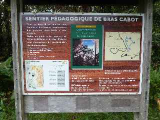 Forêt de Bébour - Plateau Duvernay - Sentier pédagogique de Bras Cabot