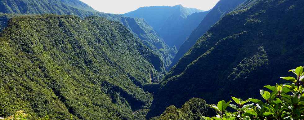 Forêt de Bébour - Plateau Duvernay - Cassé de Takamaka, vallée du Bras Cabot