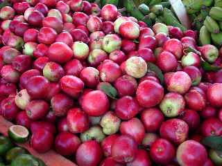 March forain de St-Pierre - Nectarines