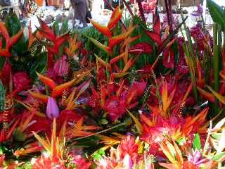 March forain de St-Pierre -  Fleurs