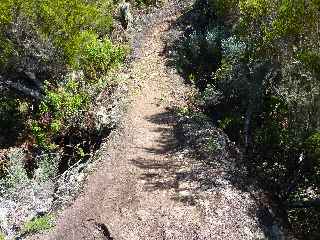 Sentier Bayonne - Dimitile - Sur la crte, encore