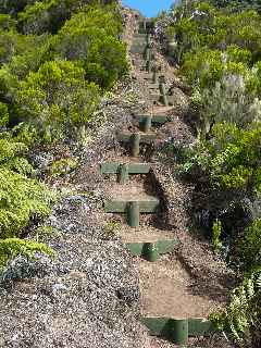 Sentier Bayonne - Dimitile - Marches