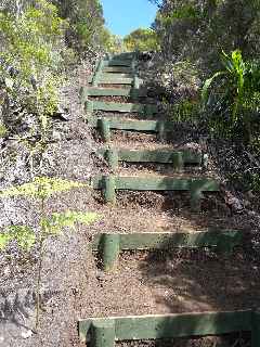 Sentier Bayonne - Dimitile - Marches