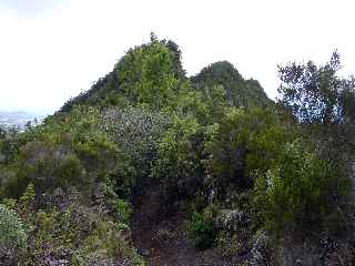 Sentier Bayonne - Dimitile - Les trois pitons