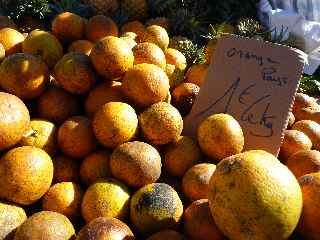 March forain de St-Pierre - Oranges