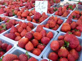 Fraises - March forain de St-Pierre -