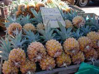 Ananas