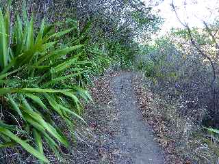 Sentier Paille-en-queue - Entre-Deux