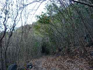 Sentier Paille-en-queue