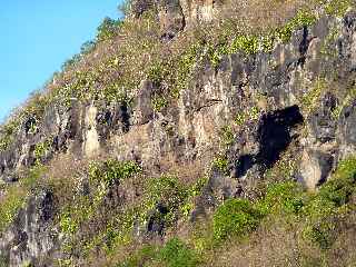 Falaise du rempart du Bras de Cilaos - St-Louis