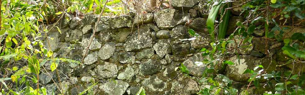 Muret de l'ancienne route de Cilaos, en rive gauche ?