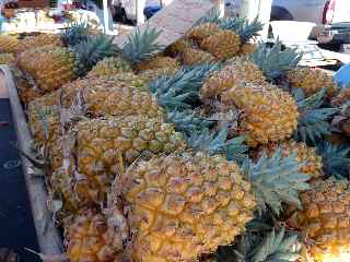 Ananas Victoria de la Runion