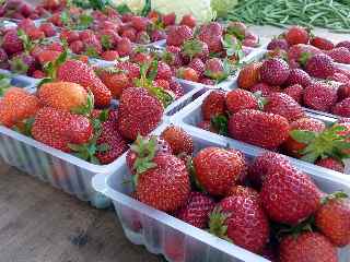 Fraises Agathe