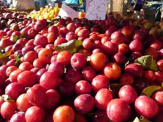 Prunes de la Plaine des Cafres