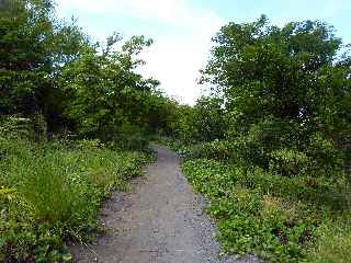 Fort d'Etang-Sal - Coule verte