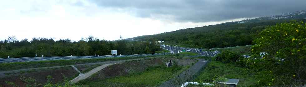 Route des Tamarins