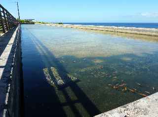 St-Leu - Pointe au Sel - Salines