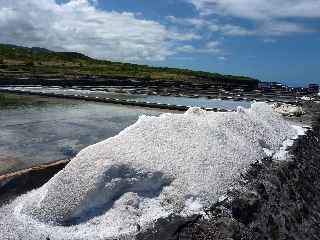 Pointe au Sel - Salines