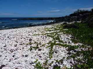 Pointe au Sel -  plage non surveille