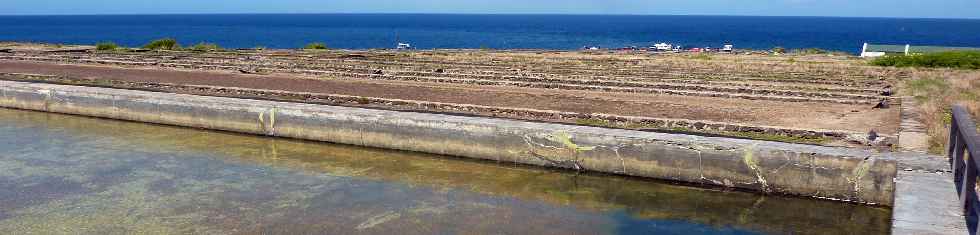 St-Leu - Pointe au Sel - Salines