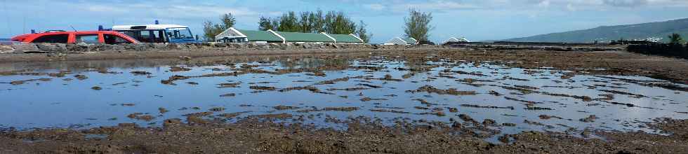 St-Leu - Pointe au Sel - Salines