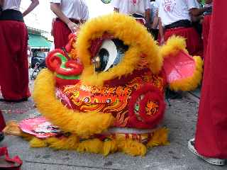 Nouvel an chinois - Danses des Lions - St-Pierre