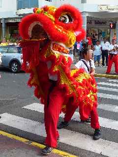 Nouvel an chinois 2011 - St-Pierre - Troupe du Qi Lin Lion 's Team