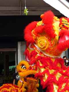 Nouvel an chinois 2011 - St-Pierre - Troupe du Qi Lin Lion 's Team