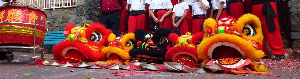 Danse du Lion  la Mdiathque de St-Pierre