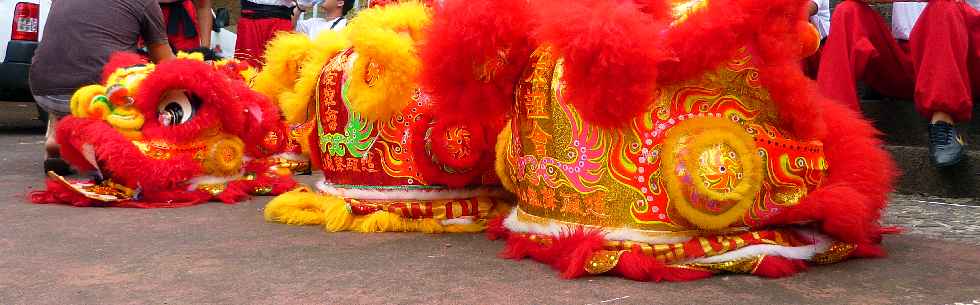 Nouvel an chinois 2011 - St-Pierre - Troupe du Qi Lin Lion 's Team