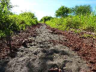 Fort de l'Etang-Sal -  Monte au Piton Reinette